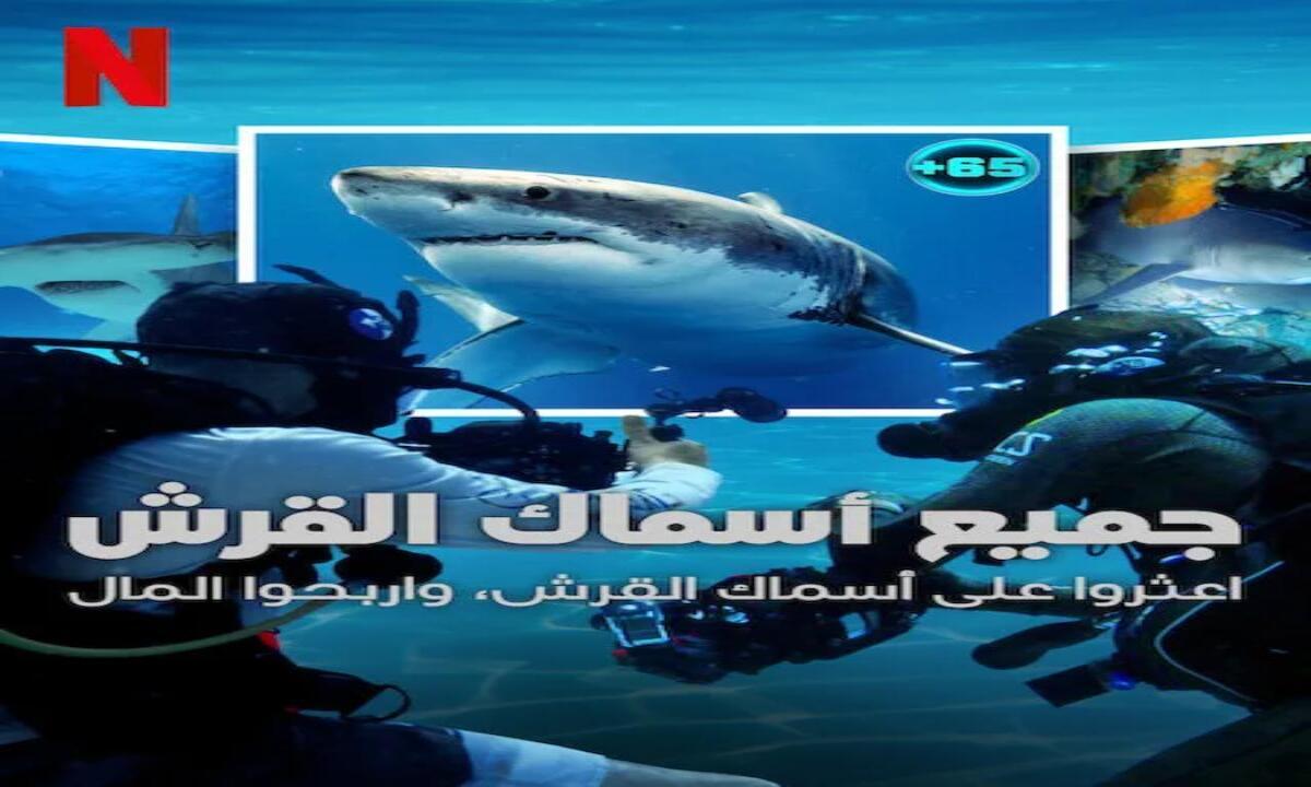برنامج All the Sharks مترجم